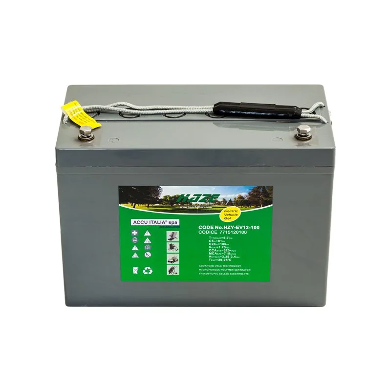HZY-EV-12-100
