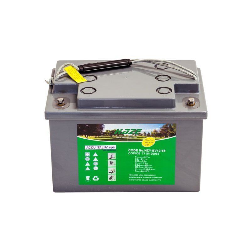 HZY-EV-12-65
