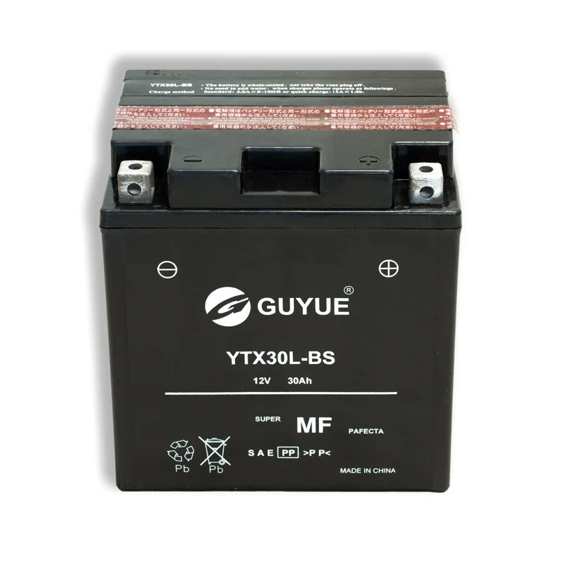 YTX30L-BS